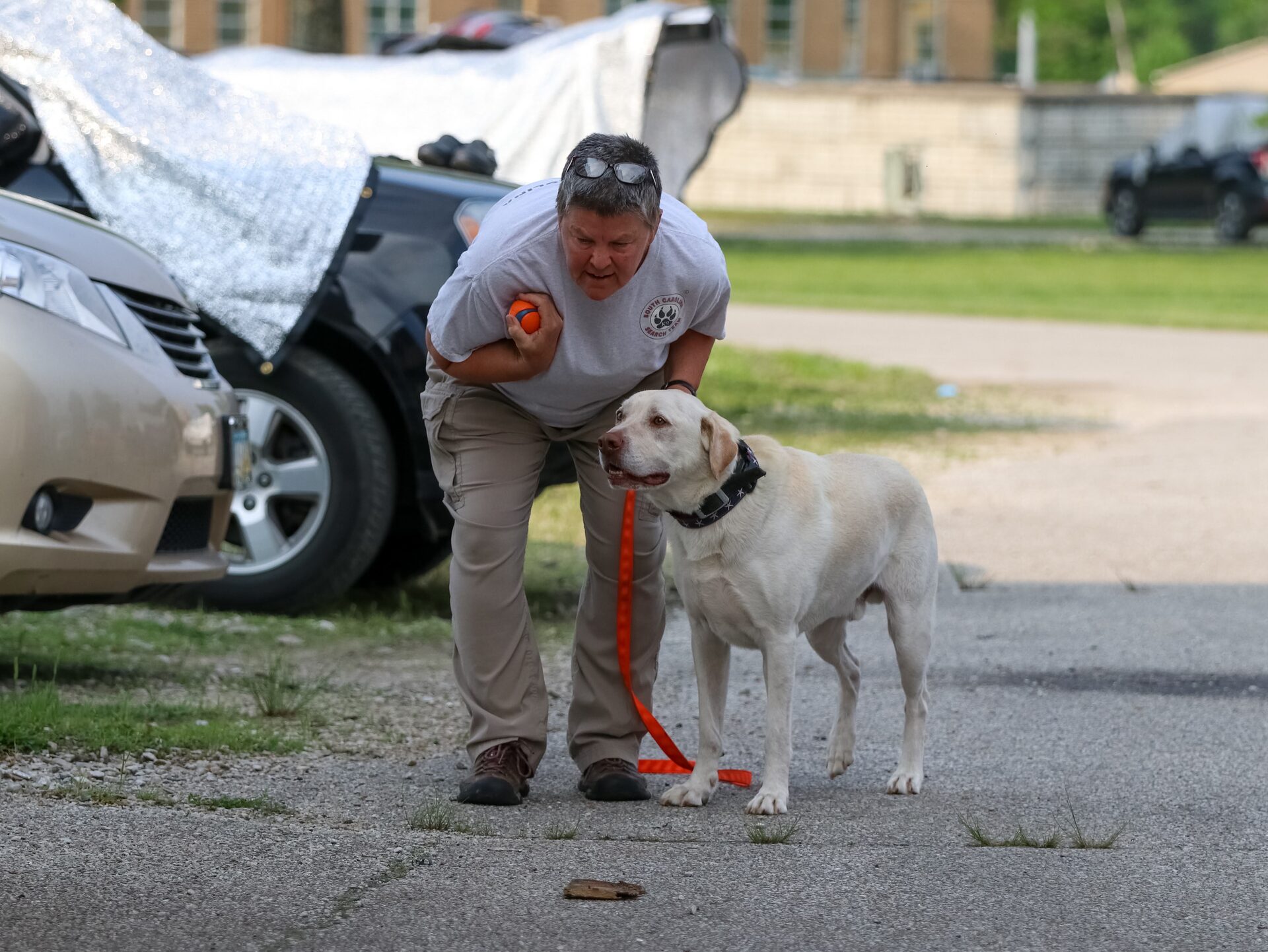Companion and therapy dog training